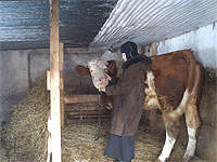 Женский монастырь во имя святого апостола и евангелиста Иоанна Богослова открыт в Орловско-Ливенской епархии. Фото из архива монастыря